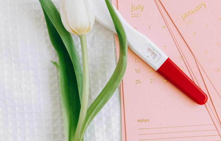 Close-up of a pregnancy test and tulip on a calendar, symbolizing new beginnings.